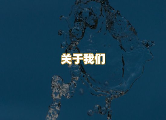 关于我们